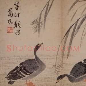 1751年 边寿民《杂画册》国画花鸟写意作品图片赏析