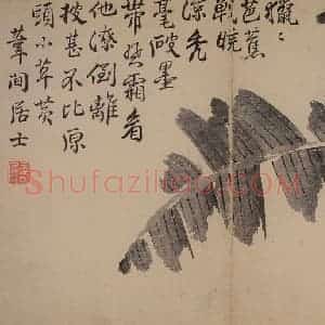 1751年 边寿民《杂画册》国画花鸟写意作品图片赏析
