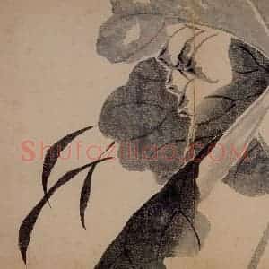 1751年 边寿民《杂画册》国画花鸟写意作品图片赏析