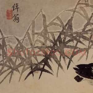 1751年 边寿民《杂画册》国画花鸟写意作品图片赏析