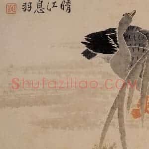 1751年 边寿民《杂画册》国画花鸟写意作品图片赏析