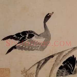 1751年 边寿民《杂画册》国画花鸟写意作品图片赏析
