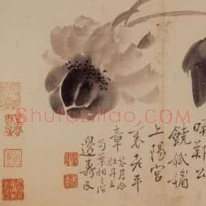 清代 边寿民《花卉册》国画花鸟写意作品图片赏析