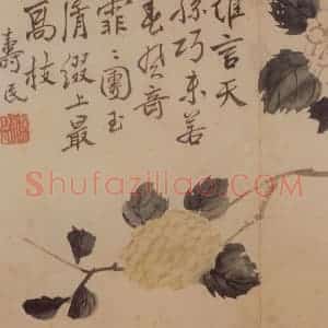 清代 边寿民《花卉册》国画花鸟写意作品图片赏析