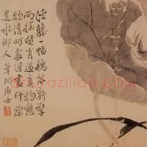 清代 边寿民《花卉册》国画花鸟写意作品图片赏析