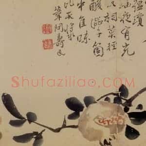 清代 边寿民《花卉册》国画花鸟写意作品图片赏析