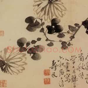 清代 边寿民《花卉册》国画花鸟写意作品图片赏析