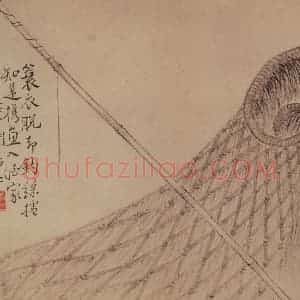 清代 边寿民《杂画册》国画花鸟写意作品图片赏析