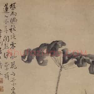 清代 边寿民《荷花图》国画花鸟写意作品图片赏析