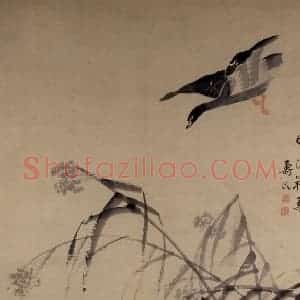 清代 边寿民《晴沙翔集图》国画花鸟写意作品图片赏析