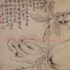 清代 边寿民《白描花果册》国画花鸟写意作品图片赏析