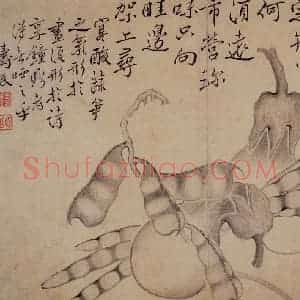 清代 边寿民《白描花果册》国画花鸟写意作品图片赏析