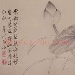 清代 边寿民《白描花果册》国画花鸟写意作品图片赏析