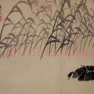 清代 边寿民《芦雁图册》国画花鸟写意作品图片赏析