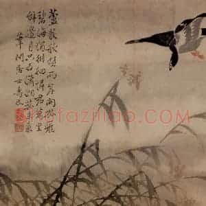 清代 边寿民《芦雁图册》国画花鸟写意作品图片赏析