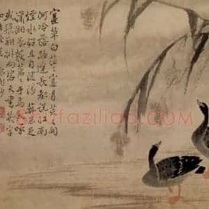 清代 边寿民《芦雁图册》国画花鸟写意作品图片赏析