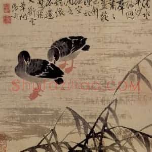 清代 边寿民《芦雁图册》国画花鸟写意作品图片赏析