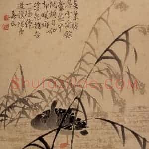 清代 边寿民《芦雁图册》国画花鸟写意作品图片赏析