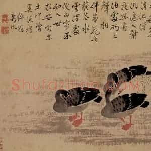 清代 边寿民《芦雁图册》国画花鸟写意作品图片赏析