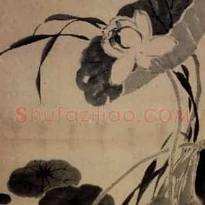 清代 边寿民《荷花图》国画花鸟写意作品图片赏析
