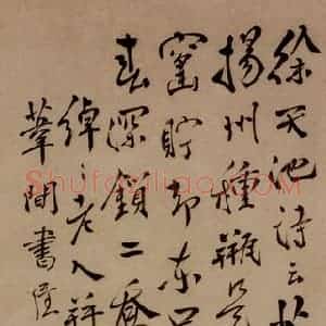 清代 边寿民《瓶牡丹图》国画花鸟写意作品图片赏析