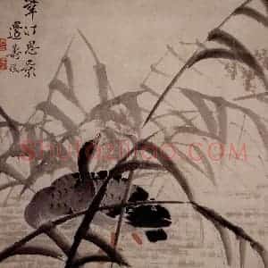 清代 边寿民《苇汀息影图》国画花鸟写意作品图片赏析