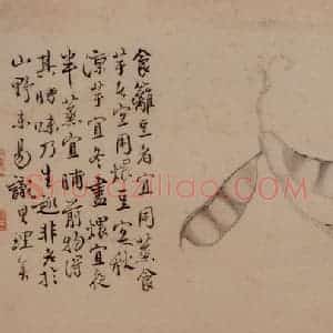 清代 边寿民《杂画册》国画花鸟写意作品图片赏析
