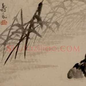 清代 边寿民《杂画册》国画花鸟写意作品图片赏析