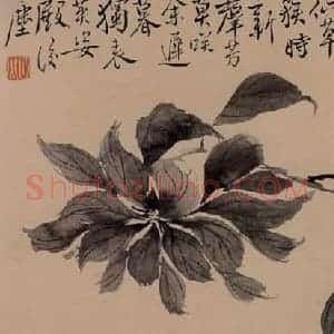 清代 边寿民《杂画册》国画花鸟写意作品图片赏析