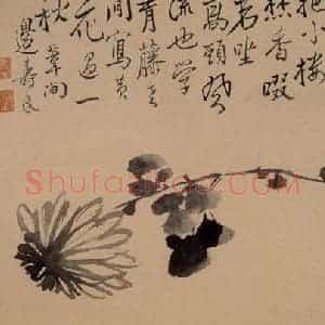 清代 边寿民《杂画册》国画花鸟写意作品图片赏析