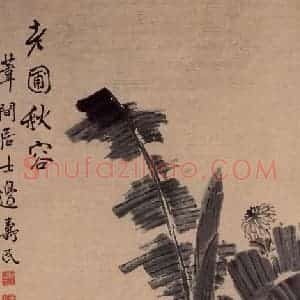 清代 边寿民《老圃秋容图》国画花鸟写意作品图片赏析