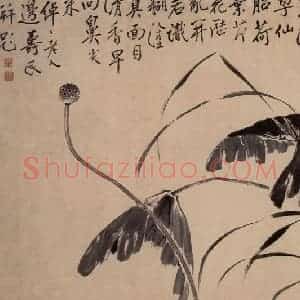 清代 边寿民《墨荷图》国画花鸟写意作品图片赏析