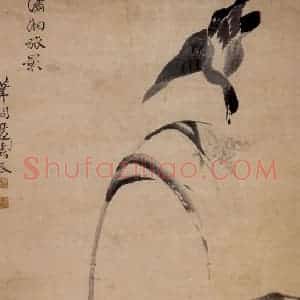 清代 边寿民《芦汀雁图》国画花鸟写意作品图片赏析