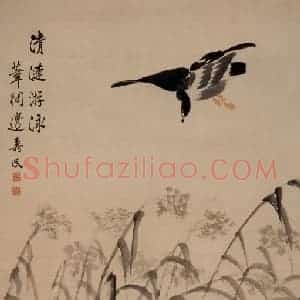 清代 边寿民《清涟游泳图》国画花鸟写意作品图片赏析