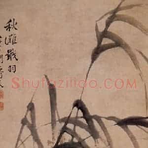 清代 边寿民《秋滩戢羽图》国画花鸟写意作品图片赏析