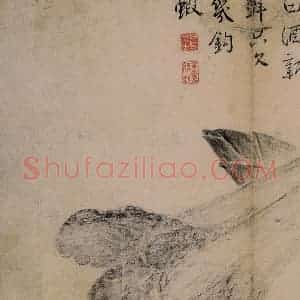 1725年 边寿民《蔬果册》国画花鸟写意作品图片赏析