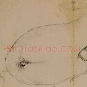 1728年 边寿民《蔬果册》国画花鸟写意作品图片赏析