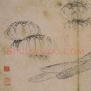 1728年 边寿民《蔬果册》国画花鸟写意作品图片赏析