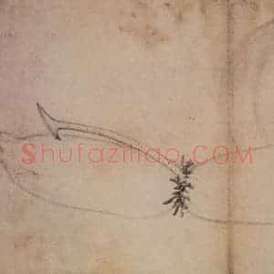 1728年 边寿民《蔬果册》国画花鸟写意作品图片赏析