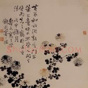 1728年 边寿民《盆菊图》国画花鸟写意作品图片赏析