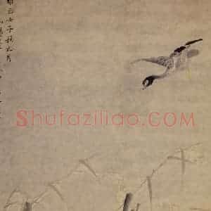 1732年 边寿民《芦雁图》国画花鸟写意作品图片赏析
