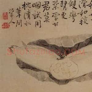 1732年 边寿民《杂画册》国画花鸟写意作品图片赏析