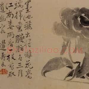 1732年 边寿民《杂画册》国画花鸟写意作品图片赏析
