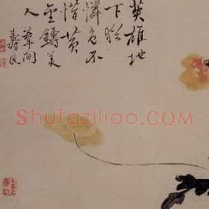 1732年 边寿民《杂画册》国画花鸟写意作品图片赏析
