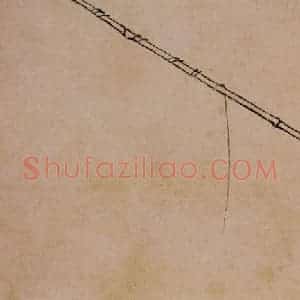 1733年 边寿民《杂画册》国画花鸟写意作品图片赏析