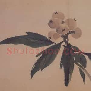 1735年 边寿民《花果册》国画花鸟写意作品图片赏析
