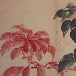 1735年 边寿民《花果册》国画花鸟写意作品图片赏析