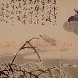 1739年 边寿民《芦雁花卉册》国画花鸟写意作品图片赏析