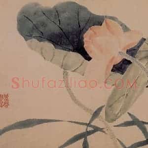 1739年 边寿民《芦雁花卉册》国画花鸟写意作品图片赏析