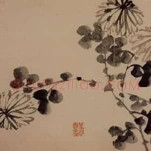 1739年 边寿民《芦雁花卉册》国画花鸟写意作品图片赏析
